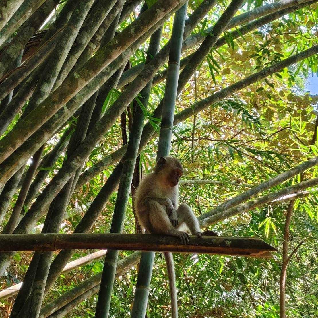 Solo Explorer gallery 4